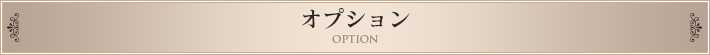 オプション